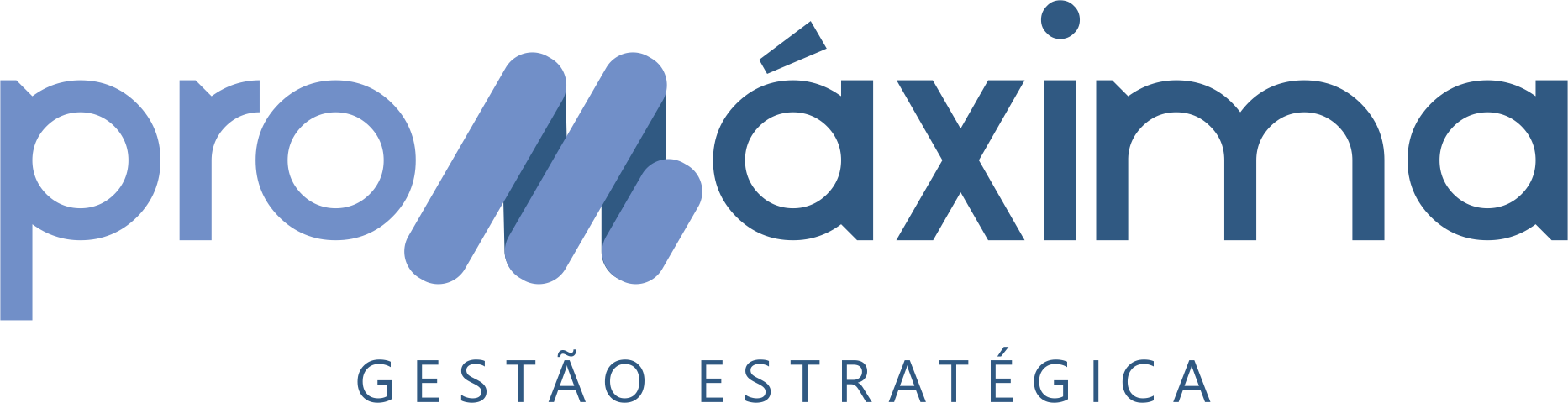 Promáxima Gestão Estratégica